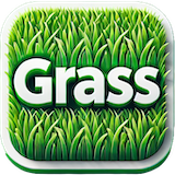Grass